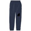 Youth Core Fleece Jogger Thumbnail